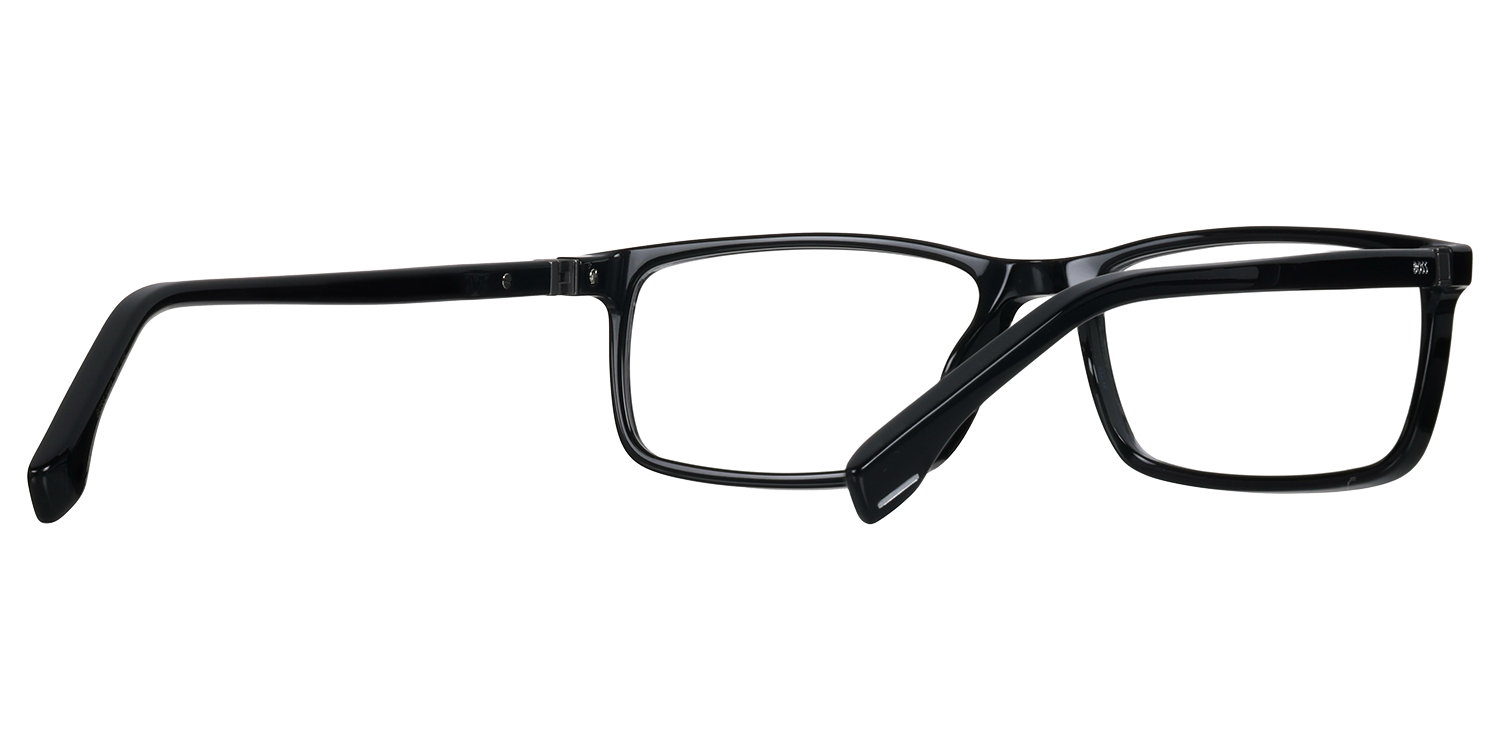 BOSS 1493 large view angle 2