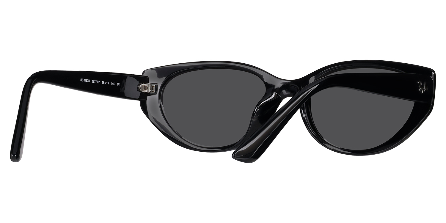 Ray-Ban� 4457D large view angle 2